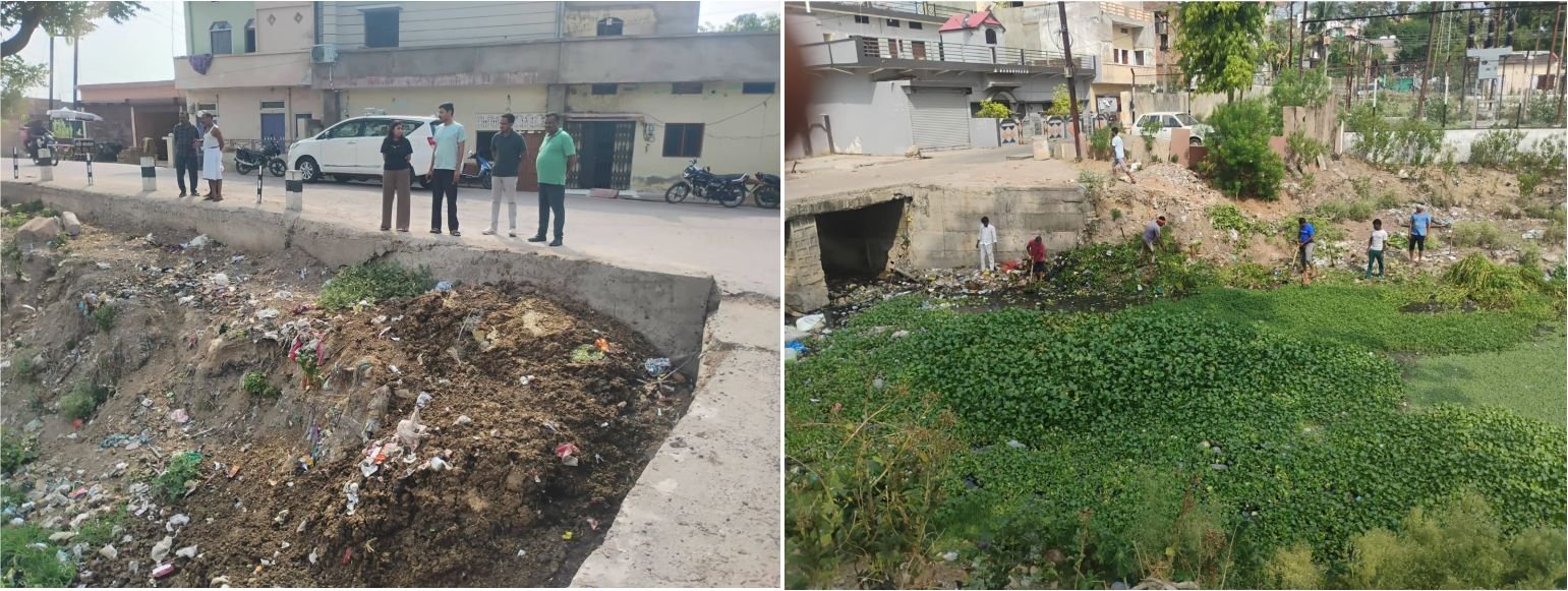 नगरीय निकाय द्वारा विशेष सफाई अभियान