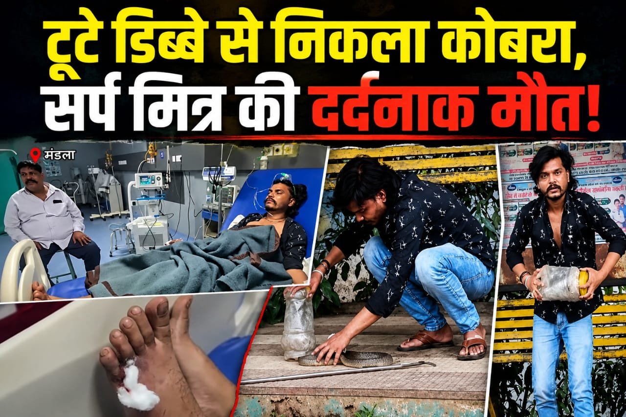 रेस्क्यू बना आखिरी मिशन: टूटे डिब्बे से निकले कोबरा ने डसा, सर्प मित्र अमन गोहिया की इलाज के दौरान मौत