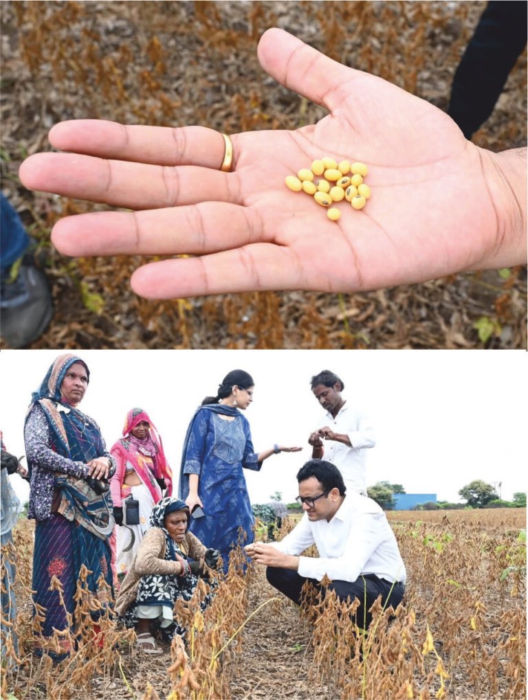 खेत में मजदूरों के बीच पहुंचे कलेक्टर, सोयाबीन की फलियां तोड़कर देखे दाने